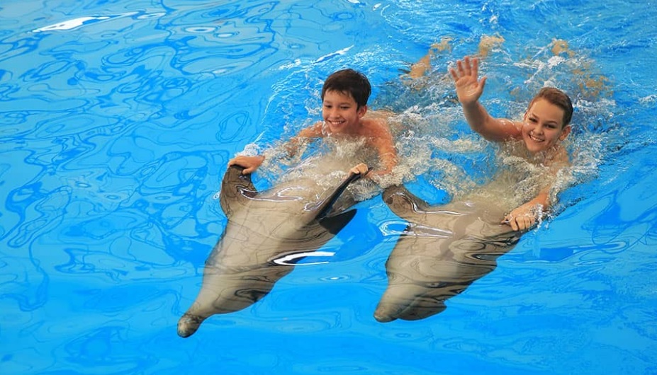 Дельфинарум в Паттайе
