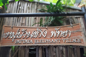 Новая кофейня в старой деревне слонов