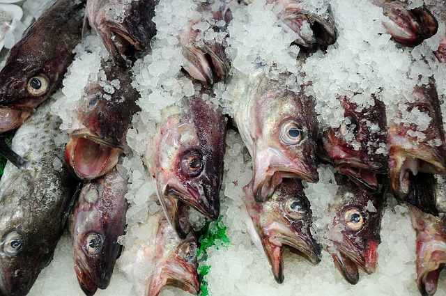 Рынок морепродуктов на севере Паттайи