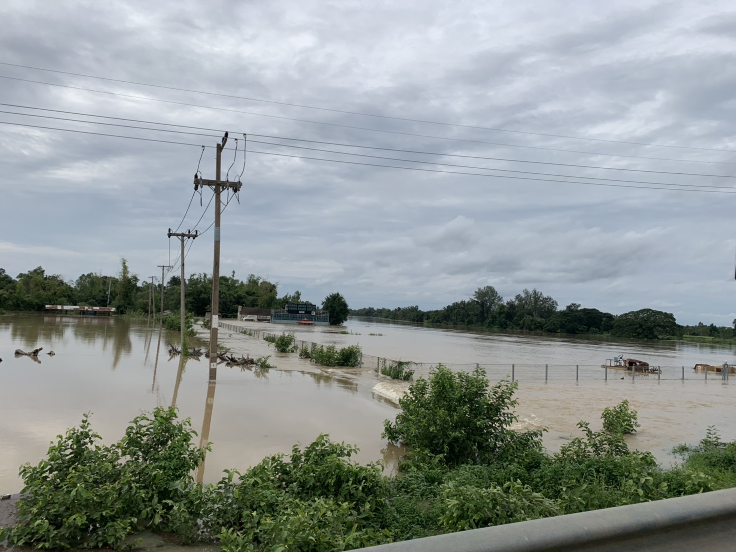 Новости Таиланда: сильные дожди затапливают рисовые поля