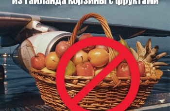 Изменения в правилах провоза багажа на рейсах из Таиланда: что нужно знать туристам