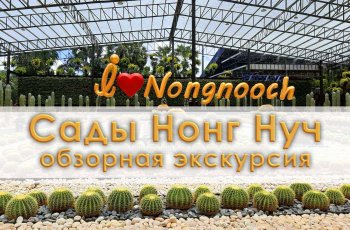 Новый сад госпожи Нонг Нуч. Обзор экскурсии с видео и фотографиями