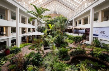 Фото-обзор пятизвездочного отеля Dusit Thani на севере Паттайи