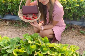 Сейчас сезон клубники в Таиланде