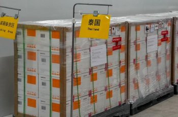 Вакцина из Китая будет доставлена в Таиланд в среду (24 февраля). Где же обещанные AstraZeneca и почему не используют Спутник V?