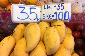 Неземной вкус манго. Применение, полезные свойства