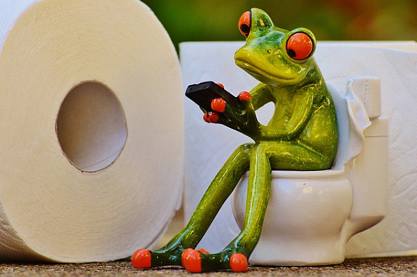 Изображение для статьи - Удивительный факт: в Таиланде не принято смывать туалетную бумагу в унитаз