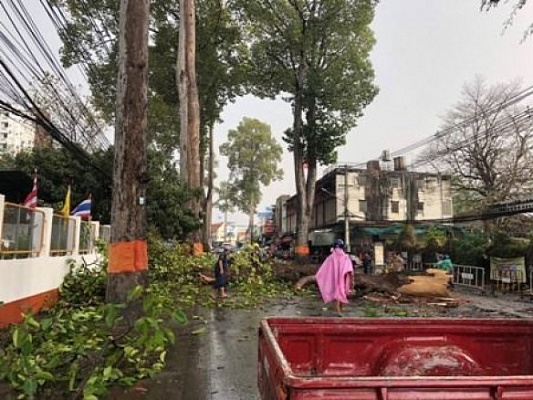 Изображение для новостной статьи - Тропический шторм в Чианг Мае обрушился градом на провинцию