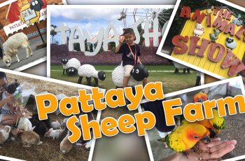 Pattaya Sheep Farm - интересное место для семейного отдыха в Паттайе. Видео обзор