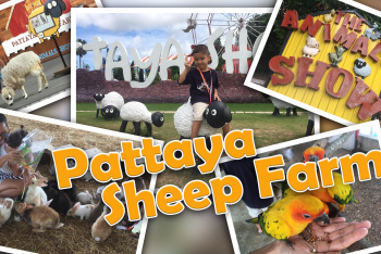 Pattaya Sheep Farm - интересное место для семейного отдыха в Паттайе. Видео обзор