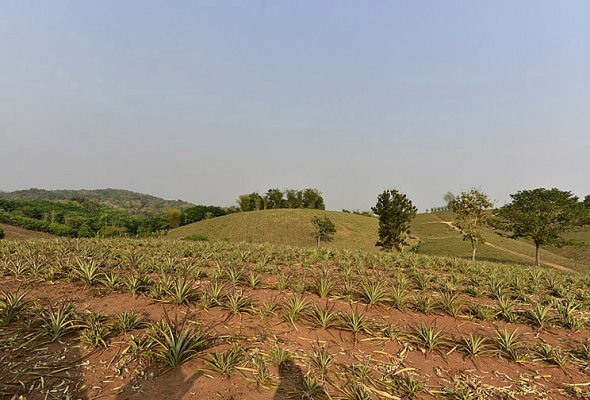 GrandisVillas