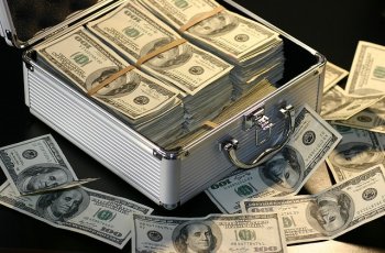 Туристка пыталась провезти незадекларированными более 50 000 долларов